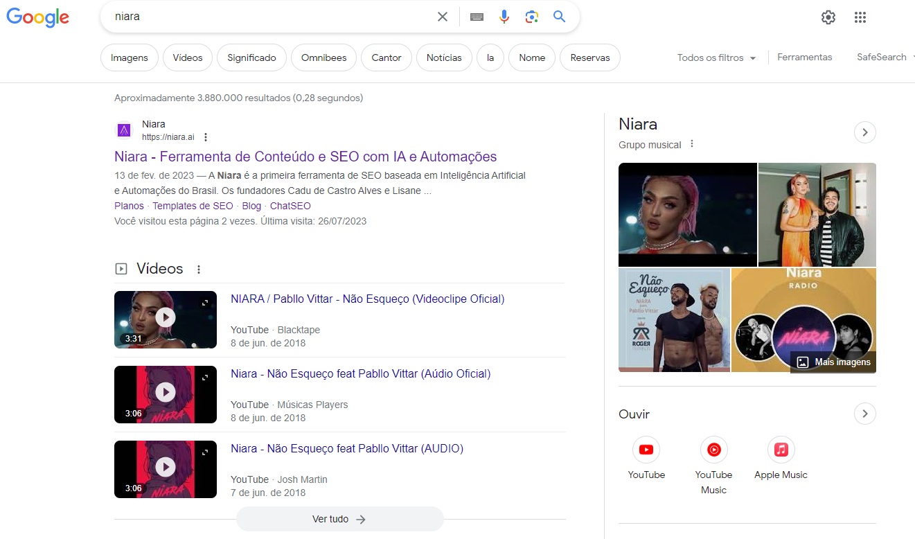 print mostrando resultado para pesquisa niara no google