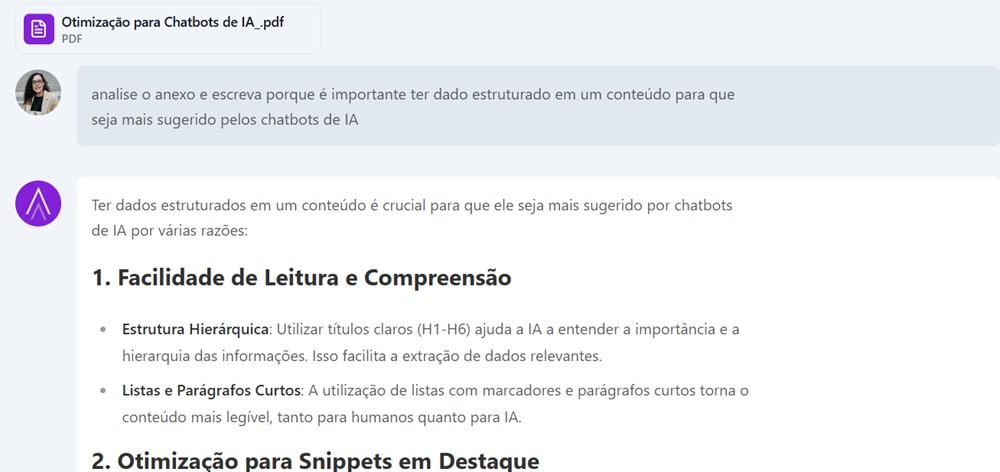 exemplo de anexo arquivo e conversa no ChatSEO da Niara