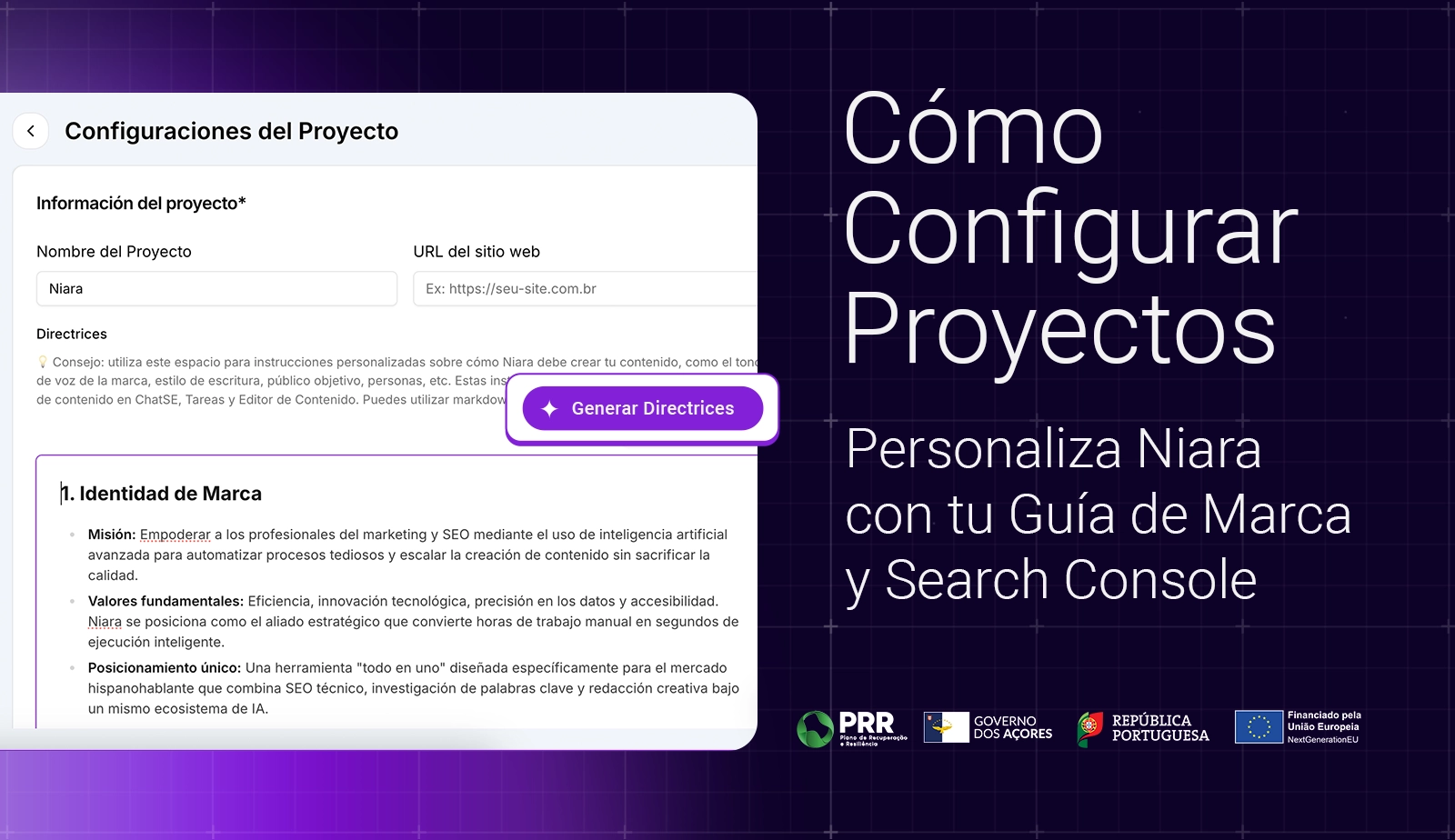 Cómo configurar proyectos en Niara