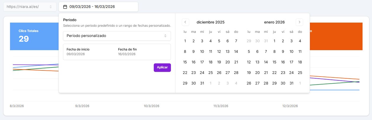 Filtro de fecha personalizada en Search Analytics.