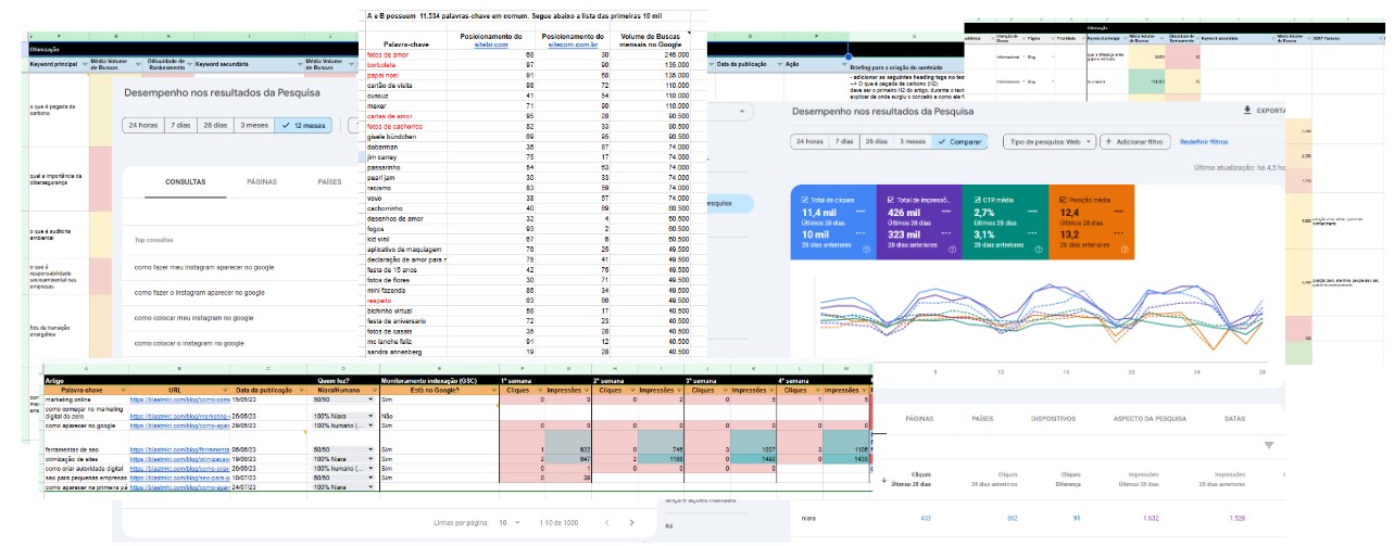 Several spreadsheets to analyze and generate SEO reports.